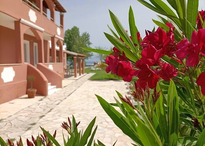 Melador Beachfront Lejlighed Kávos